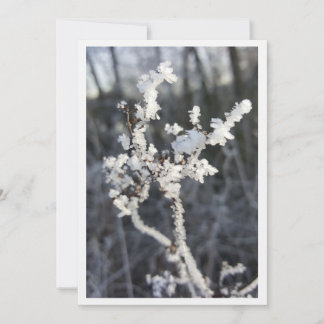 "Frostpoéie - Invitation avec branche de Raureif"