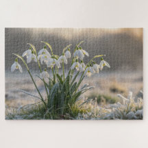 Frosträßchen - Delikate Winterlandschaft Art