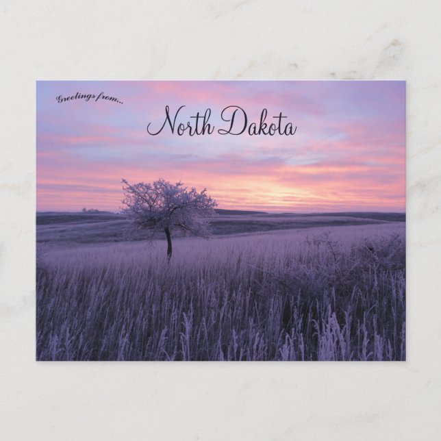 Frosty Erlenbusch Sunrise North Dakota Postkarte (Vorderseite)