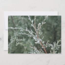 Frosty Evergreen Christmas Nature Foto Dankeskarte
