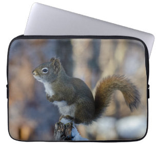 Frosty Forager: Kanadisches Winter-Eichhörnchen Laptopschutzhülle