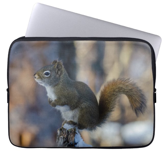 Frosty Forager: Kanadisches Winter-Eichhörnchen Laptopschutzhülle (Vorderseite)