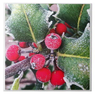 Frosty Holly Fliese