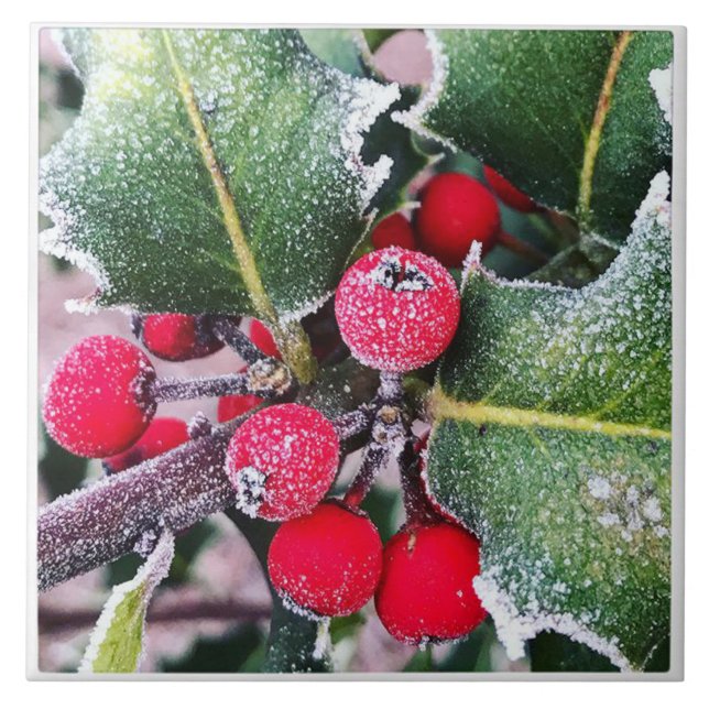 Frosty Holly Fliese (Vorderseite)