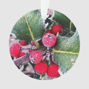 Frosty Holly Ornament