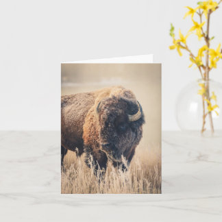 Frosty Morning - 4" x 5.6" Notecard Karte