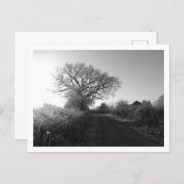 Frosty Morning: Cheshire Postkarte
