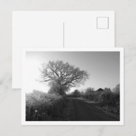 Frosty Morning: Cheshire Postkarte