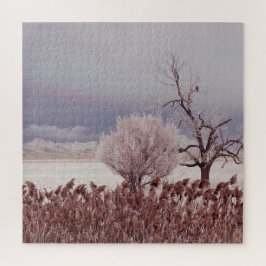 Frosty Utah Mountain Morning - 20x20 - 676 pc