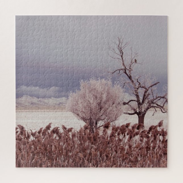 Frosty Utah Mountain Morning - 20x20 - 676 pc (Vertikal)