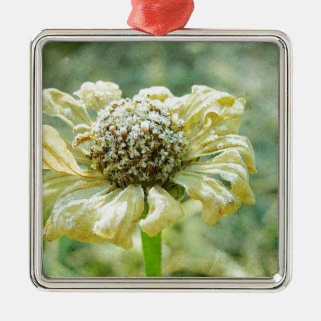 Frosty Zinna Ornament Aus Metall (Vorne)