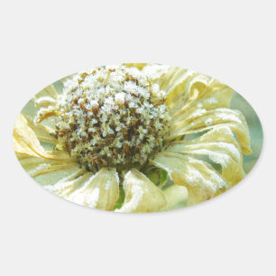 Frosty Zinna Ovaler Aufkleber