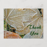 Frozen Ahorn Danke, Postcard