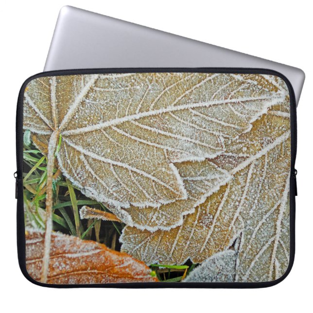 Frozen-Ahornschlauch Laptopschutzhülle (Vorderseite)