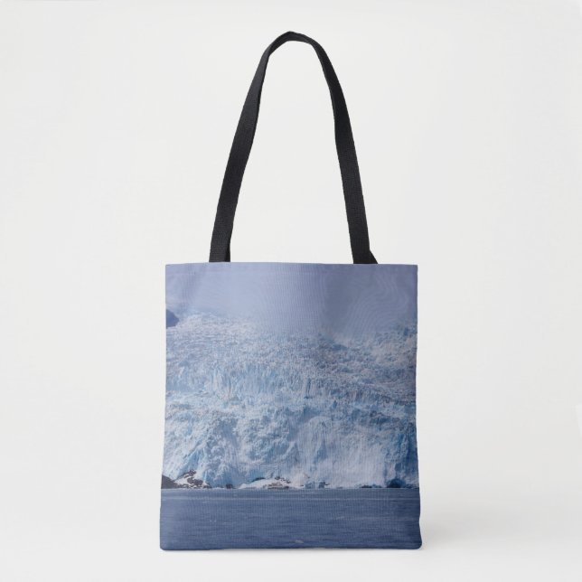 Frozen Beauty Tasche (Vorderseite)