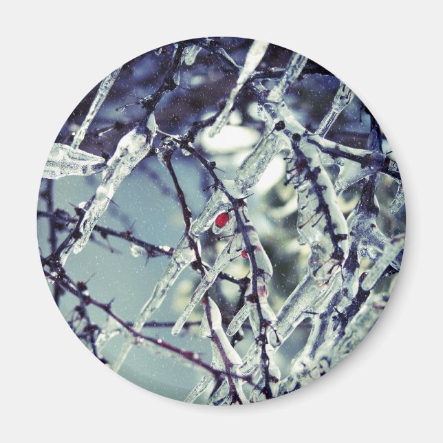 Frozen Berry Magnet (Vorne)
