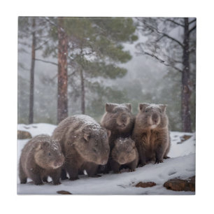 Frozen Burrow: Australian Wombat Family Fliese