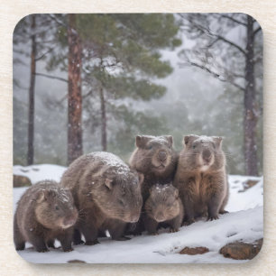 Frozen Burrow: Australian Wombat Family Getränkeuntersetzer
