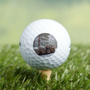 Frozen Burrow: Australian Wombat Family Golfball