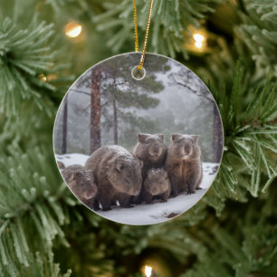Frozen Burrow: Australian Wombat Family Keramik Ornament