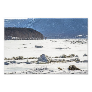 Frozen Fotodruck