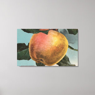 Frucht Chromo Lithographie des weißen Winters Leinwanddruck