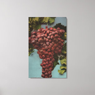 Frucht Chromo Lithographie von Kalifornien-Trauben Leinwanddruck
