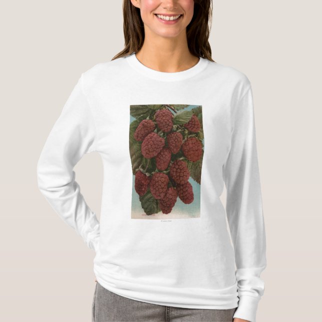 Frucht Chromo Lithographie von LoganberriesState T-Shirt (Vorderseite)
