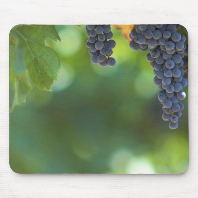 Frucht und Nahrung Mousepad 15 (Vorne)
