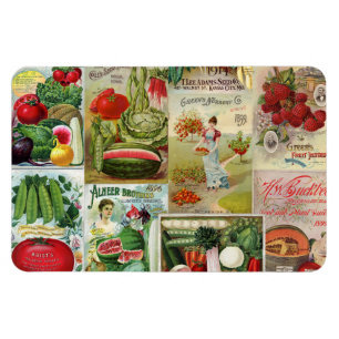 Frucht-und Veggies-Samen-Katalog-Collage Magnet