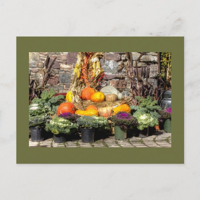 Früchte der Herbsternte Postkarte (Vorderseite)