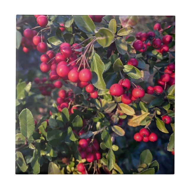 Früchte des Herbst Fliese (Vorderseite)