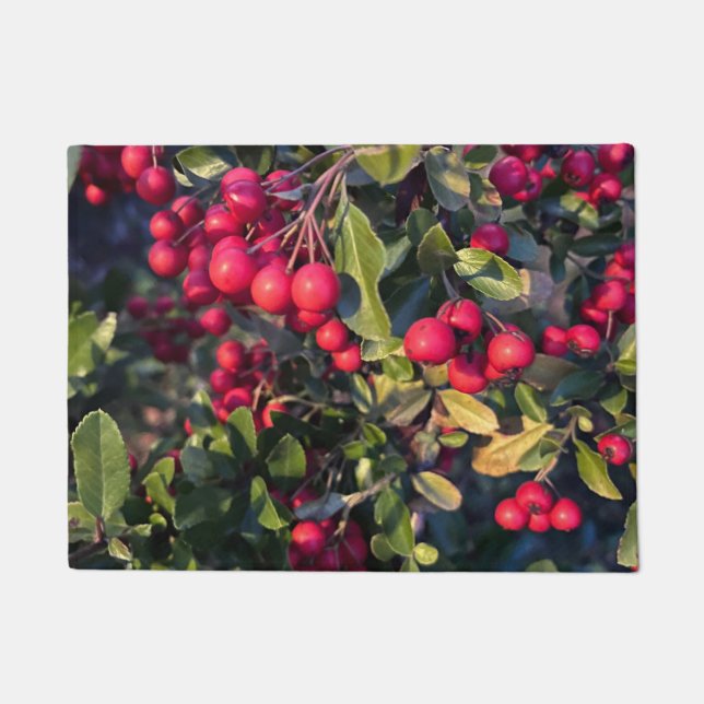 Früchte des Herbst Fußmatte (Vorderseite)