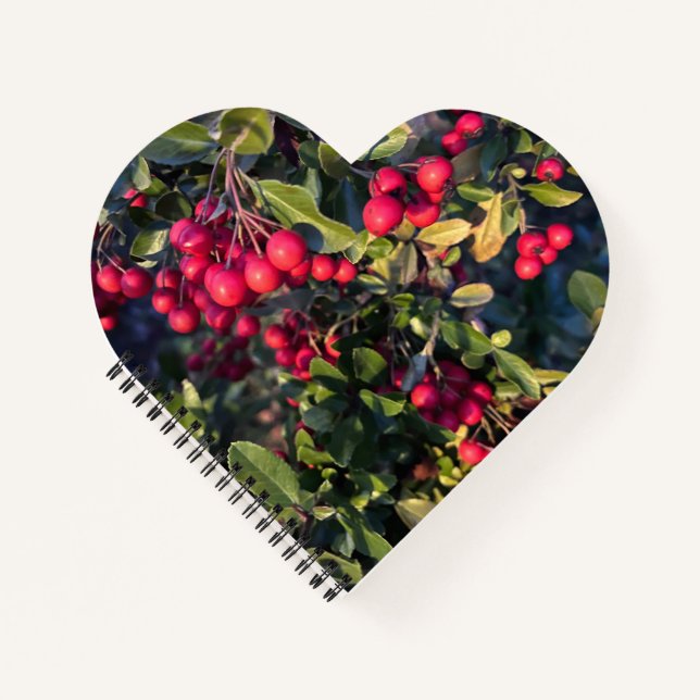 Früchte des Herbst Notizbuch (Vorderseite)