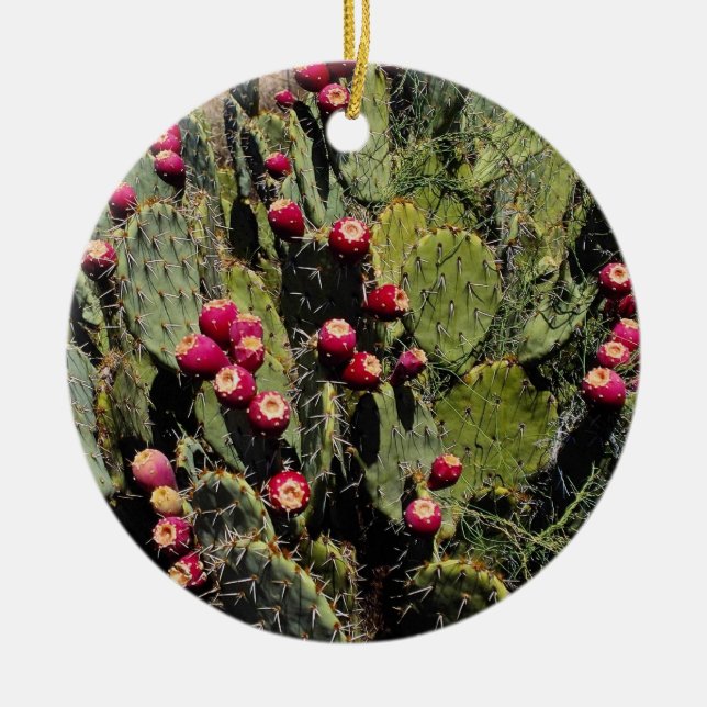 Früchte getragener Kaktusfeigekaktus, Sonoran Keramik Ornament (Vorne)