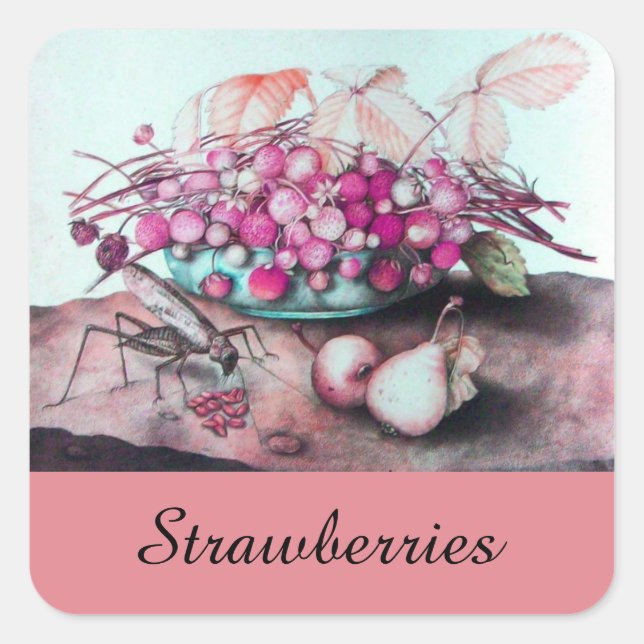 FRÜCHTE/STRAWBERRIEN UND ERBEN DER SAISON QUADRATISCHER AUFKLEBER (Vorderseite)
