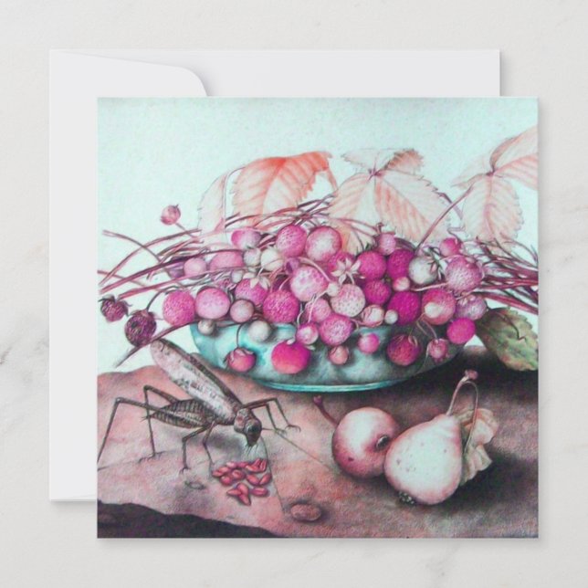 FRÜCHTE/STRAWBERRIES DER SAISON FRUITS DER SAISON  ANKÜNDIGUNG (Vorderseite)