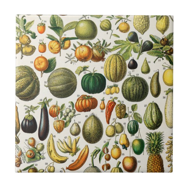 Früchte und Gemüse  Fliese (Vorderseite)