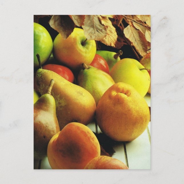 Früchte und Pflanzen, Apples and pears Postkarte (Vorderseite)