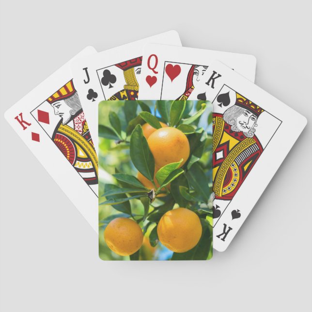 Fruchtender Orangenbaum Spielkarten (Rückseite)