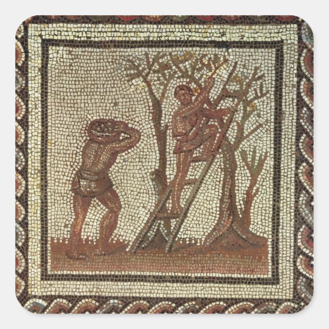 Früchtepicken, römisches Mosaik Quadratischer Aufkleber (Vorderseite)