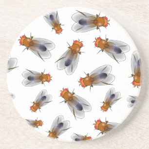Fruchtfliege - Drosophila melanogaster Getränkeuntersetzer