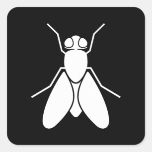 Fruchtfliege Quadratischer Aufkleber