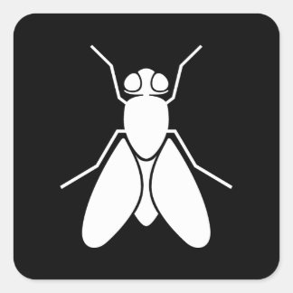 Fruchtfliege Quadratischer Aufkleber