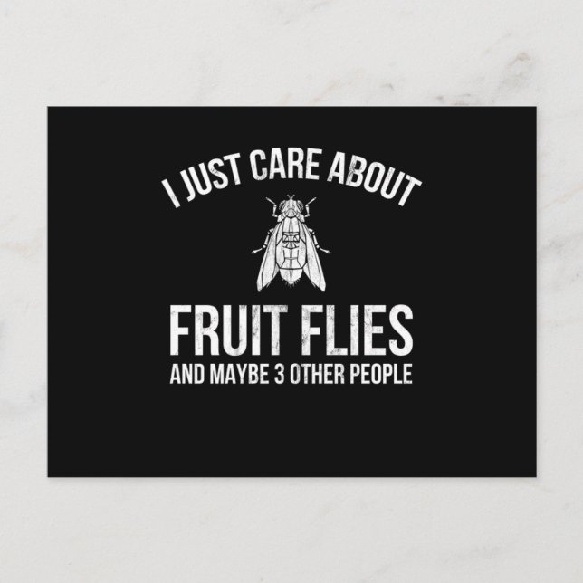 Fruchtfliegen Design, das ich mir nur um Fruchtfli Postkarte (Vorderseite)