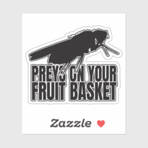 Fruchtfliegen Fruchtfliege Drosophila Entomology G Aufkleber
