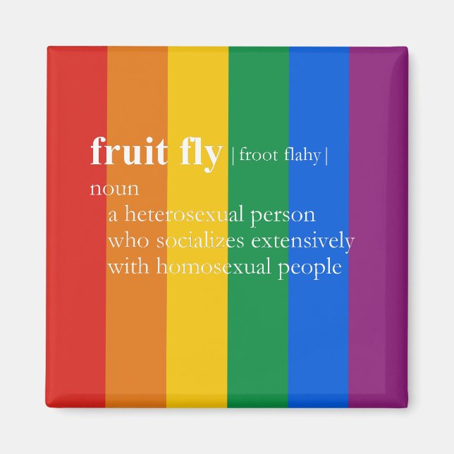 FRUCHTFLIEGEN MAGNET (Vorne)