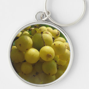 Fruchtkreislauf Schlüsselanhänger
