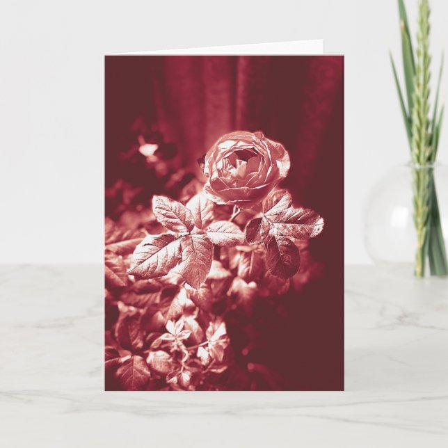 Fruchtparfuma-Rose - Danke-Karte Dankeskarte (Vorderseite)