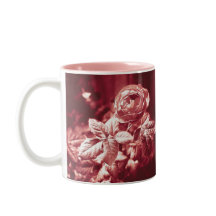 Fruchtparfuma-Rose -